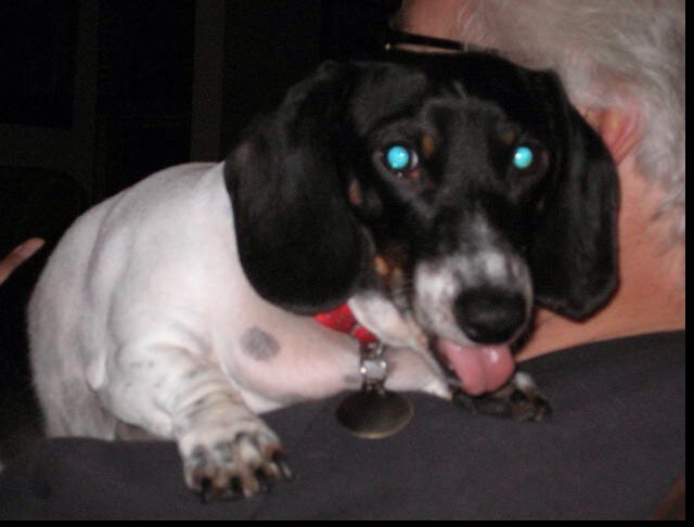 farleyl's profile picture. Want to be a retired IT person