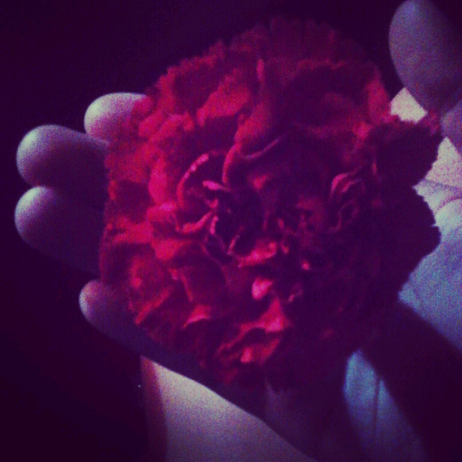 mrsmahone305's profile picture. i love 1D and austin mahone