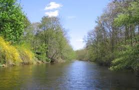 My dad named me Kingfish based on his favorite meal on the river- thats where I come from #HumbleBeginnings