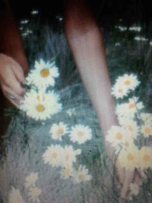 I think I saw you in my sleep, lover. http://t.co/oqrHpxxcEr…