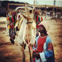 عبدالله الهوساوي|Abdullah Alhawsawi (@abujanah625) Twitter profile photo
