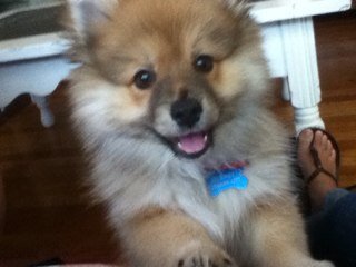 treycardoza1's profile picture. 