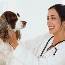 Sitio web para consultar y chatear con veterinarios en linea las 24 horas del dia, preguntar sobre veterinaria a veterinarios online por internet