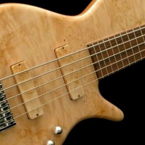 Husband, Father, Worshiper, Teacher, Holy Ghost Filled Bass Player, Medical Lab Technician and IT Geek