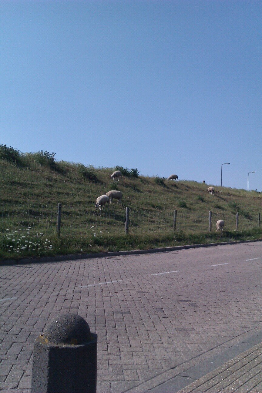getrouwd met Gerrit, 5 kinderen, ik werk bij BiOns, als hh