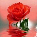 الملتقى الجنه (@00_asiry) Twitter