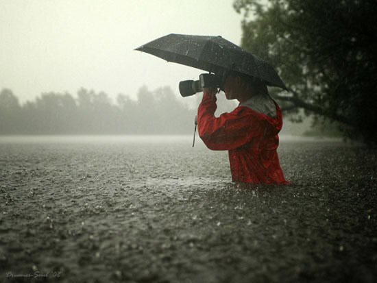 | 10-09-2011 |