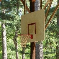 Jeff Morgan (@hucoachmorgan) 's Twitter Profile Photo