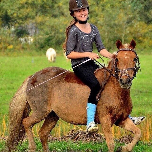 Volg dit acc als je fan bent van lakisha en juulsa EN chello @truehorse001