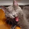 GinaMorgan19's profile picture. 