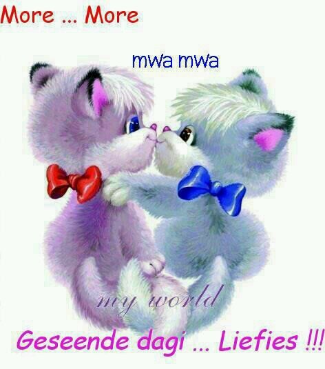 parrabee's profile picture. 