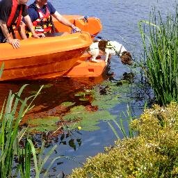 SARbot UK is an underwater search, rescue and recovery charity.
To donate text 70070 with reference KFKY29 £1 or £2 or £5 etc. Registered Charity No 1146638