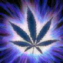 Šĥü¢Ќë_Ĥåñđžëѓ†»▲ŠЌŸ™▼«@RasTamaNˉˉˉĴåМ∂îçÅ™