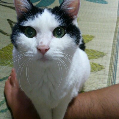 久保田 恵輔