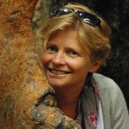 Web Integrator, Responsive design expert
Love cooking, reading, skiing, sharing with friends