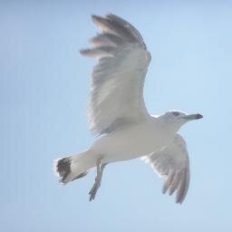 800716Beer's profile picture. はじめまして！ 趣味は、テニス・野球･ボウリング･ダーツ・グルメツアー･ドライブ･旅行･筋トレ･漫画です。東日本大震災の復興も応援しています。福岡県出身。