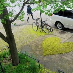 Yokococo1968's profile picture. 🎀ソプラノ🎀 Choeur de Chambre Accentus, Solistes de Lyon, Voix Célèstes, モンタルジー音楽学校 声楽講師 合唱指揮 、名古屋二期会会員 藤原歌劇団準団員　日本オペラ協会準会員　パリ在住