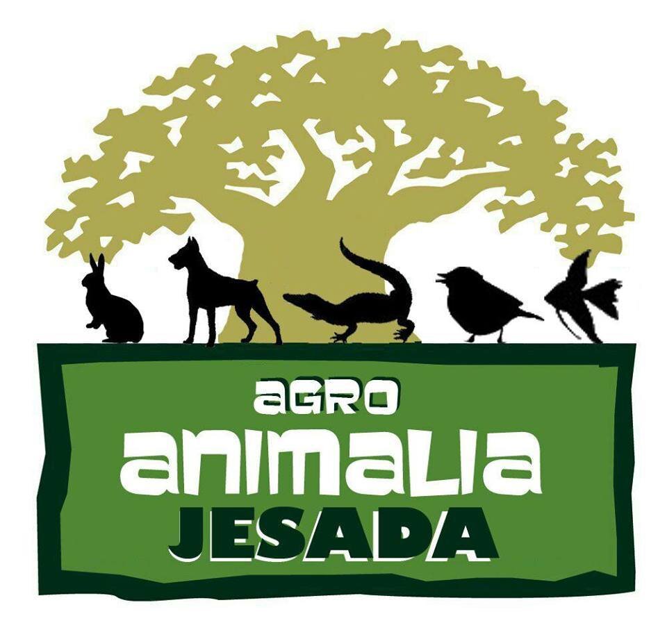 Bienvenido a la página oficial en Twitter de Agro Animalia Jesada. Vivero y Tienda de mascotas en Olula del Rio