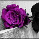 ڪلُآمْ آلُصًمْٺ.. (@053Oooss) Twitter
