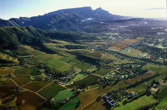 Constantia Property Cape Town
