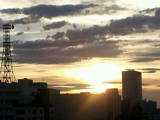 Ms_Andoh's profile picture. 