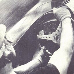 tiggerbourne's profile picture. 