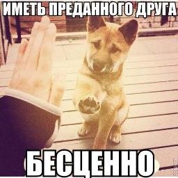 MaxPoplygin's profile picture. 