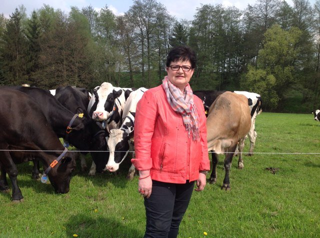 EllyHochsHeggen's profile picture. melkveehouderij