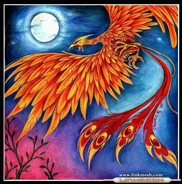 Alejam49_2's profile picture. sola en el mundo