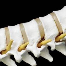 Dedicated to providing a Healthy Spine & Healthy Lifestyle
Grand Cayman Islands 
1-345-945-1988
drmelvance@gmail.com