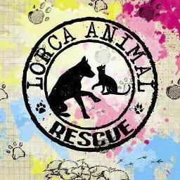 L.A.R Asociación Protectora de Animales. Somos un grupo de personas preocupadas por el bienestar de los animales; entre todos podemos cambiar el mundo de muchos