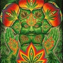 22 y/o herbalist from Sweden. 👽✌  

           There's a 99.9% chance I'm already high
