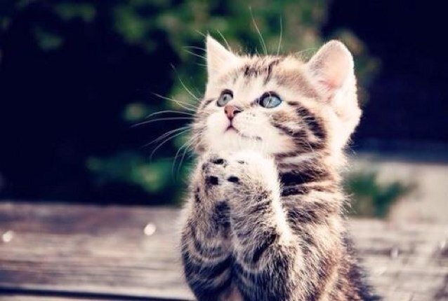 yjs4xycrt's profile picture. イジメ・ストーカー防止のための非営利団体ライフセキュリティーです。卑劣なイジメ・ストーカーからあなたを、そしてあなたの大切な人を守ります。お気軽にご相談下さい。