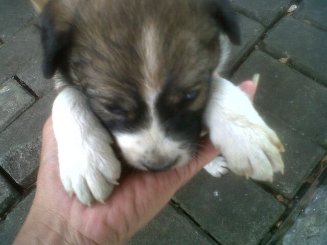 ArthurADJ10's profile picture. #FCB