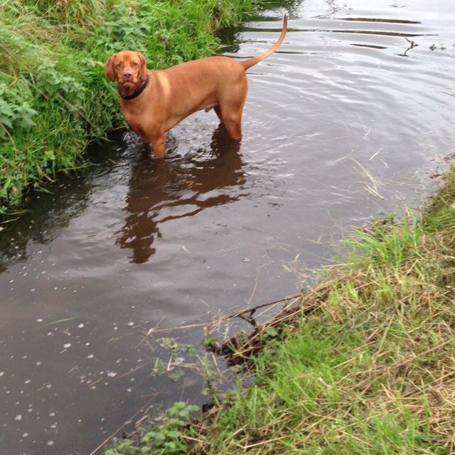 tracey_vincent's profile picture. 