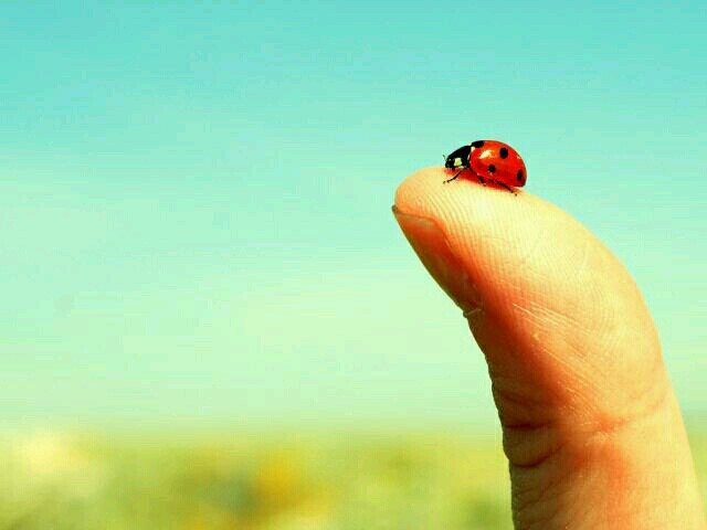 cijfer_gokken's profile picture. Retweet mijn tweets en ik gok of geef je ava een cijfer:)