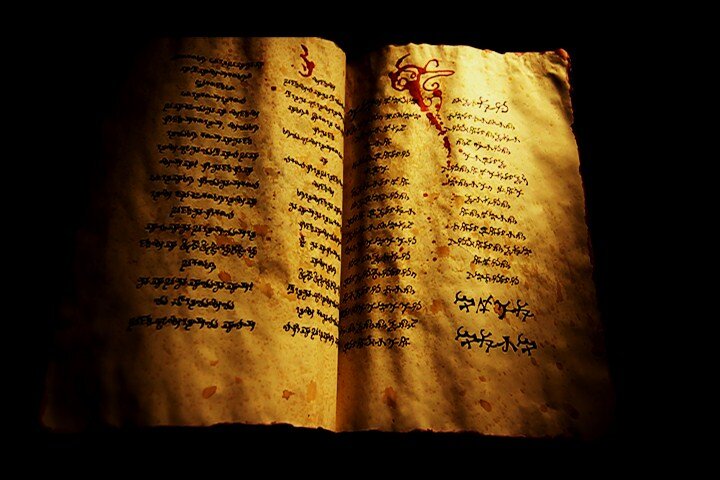 ElCodice's profile picture. La búsqueda del Códice de Arlham lleva al intrépido aventurero Armando Vega y a la paleógrafa Sara Brand a un remoto pueblo abandonado.