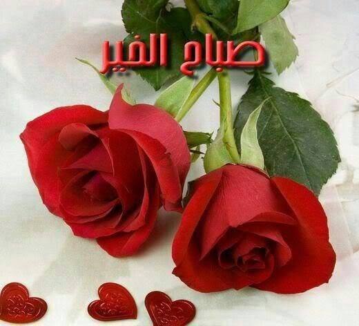 تكنولوجيا المعلومات