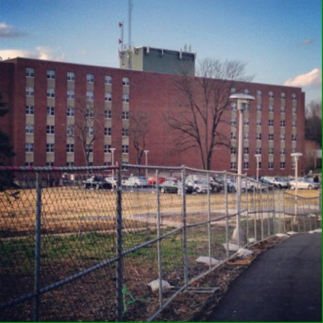 lenapehall's profile picture. 