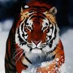 richochet7842's profile picture. Time to blow up the air waves.