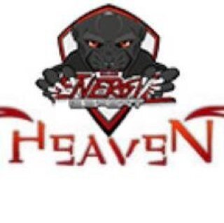 EnerGizHeaven_'s profile picture. Equipe COD de la structure @EnerGizeSport sur Playstation composée de @choka75, @sainrau, @ZaneTovix @TinaToVic - 4 Lan & 1 Podium europe