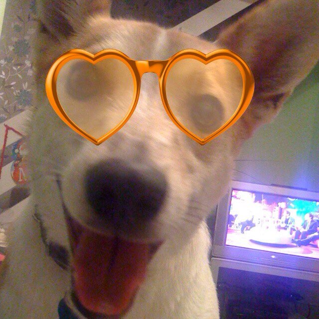 Jilllampshire's profile picture. 