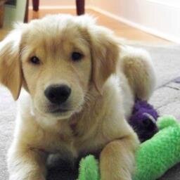 BNorfleet13's profile picture. 