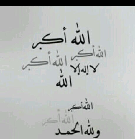 al_modef's profile picture. 