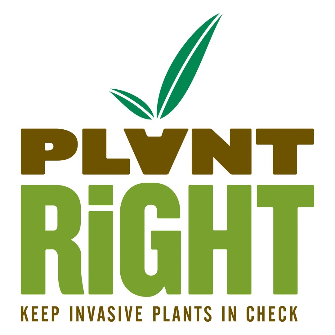 Working with California's nursery industry to promote non-invasive plants for gardening and landscaping.