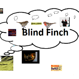 Rock Rock Rock / freedom of artistic expression Singer songwriter etc,always  Follow Back  View song Honey Dream