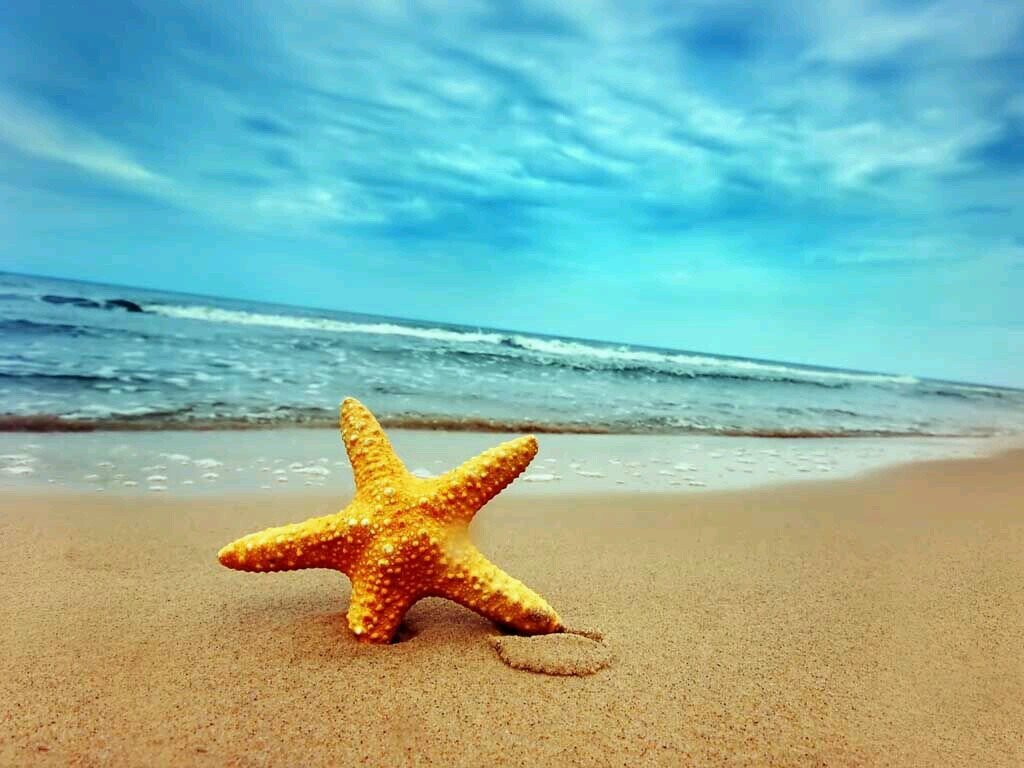 mmermi1's profile picture. motivational quotes and sayings of all types :)