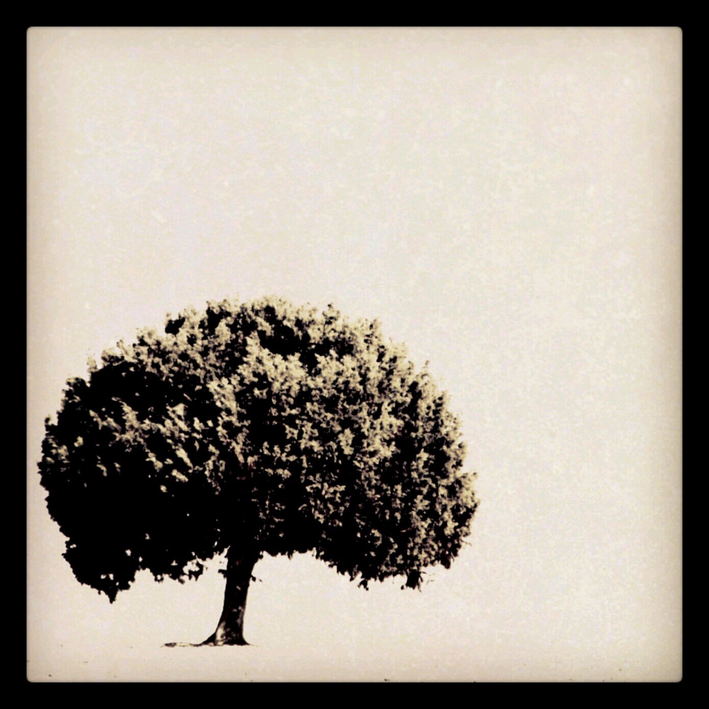 MarioPucheta's profile picture. http://t.co/nEvdR6ycrV.                      -     http://t.co/NwqiOzJ1lz      -                                    En ocasiones hago fotos