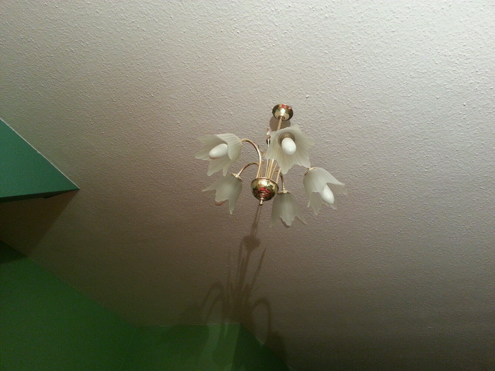 nonVocal's profile picture. 