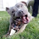 Sarah Sue Otis - @Zotan4 - Twitter